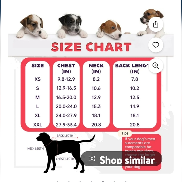 Recovery suit for dogs/cats size small - Picture 2 of 5